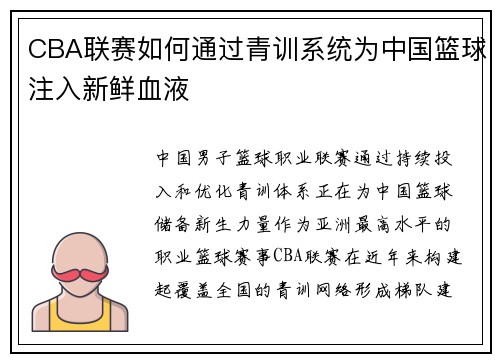 CBA联赛如何通过青训系统为中国篮球注入新鲜血液